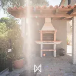 فيلة Mystay - Vieira's *